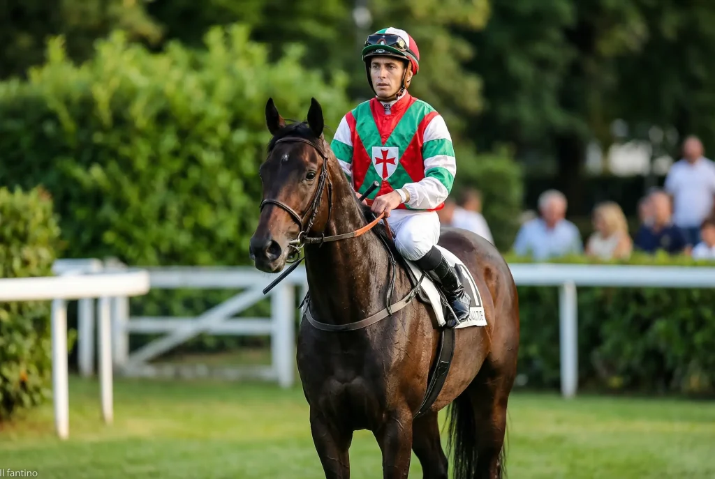 Fantino in sella a un purosangue durante una corsa ippica su pista in erba