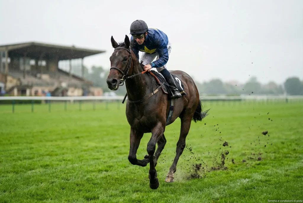 Cavallo al galoppo su pista in erba bagnata con zolla di terra sollevata